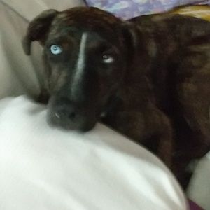 Meet your Posher, Leighlee